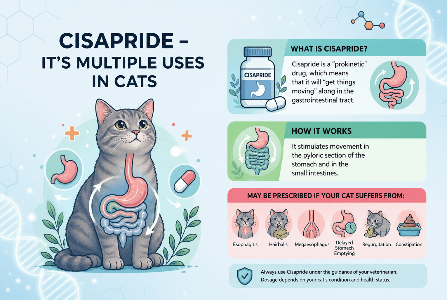 Cisapride – It’s Multiple Uses in Cats