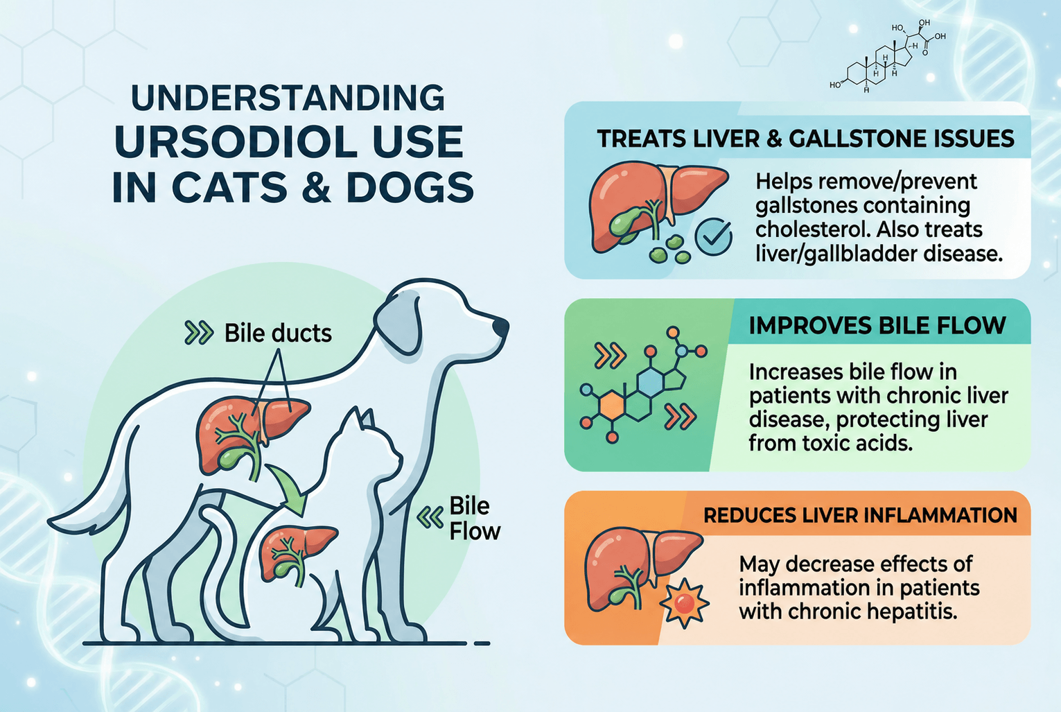 Ursodiol Use in Cats and Dogs